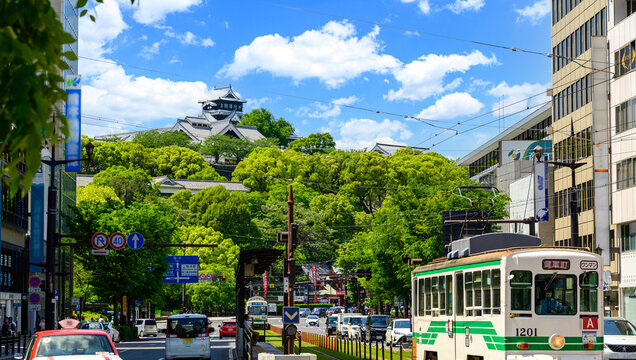 生活機能背景
